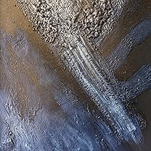 The Chronicles Of Manimal And Samara : Bite the Bullet